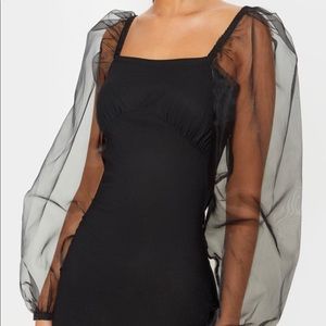 Petite Black Organza Bodycon Dress (XS)
